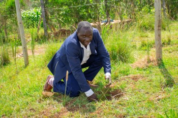 Growel Community and