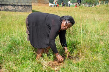 Growel Community and