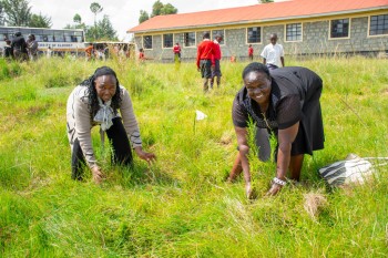 Growel Community and