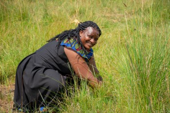 Growel Community and