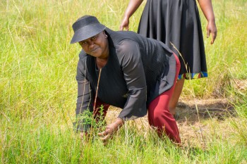 Growel Community and