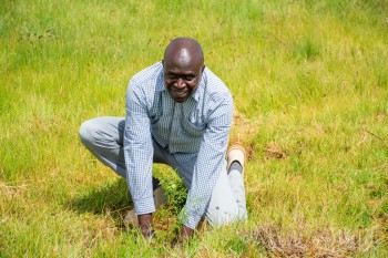 Growel Community and