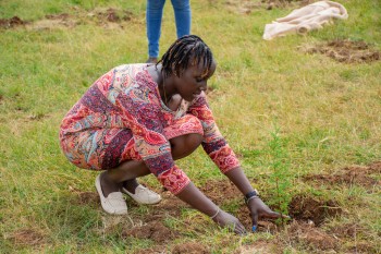 Growel Community and