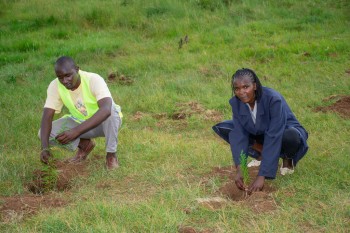 Growel Community and