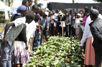 Previous Agribusines