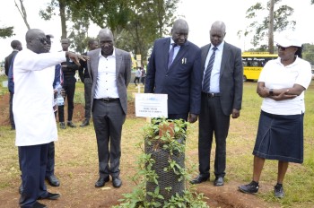 Previous Agribusines