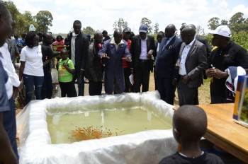 Previous Agribusines