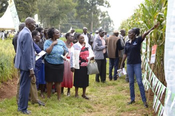 Previous Agribusines