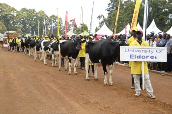 Previous Agribusines