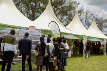 Previous Agribusines