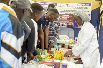 Previous Agribusines