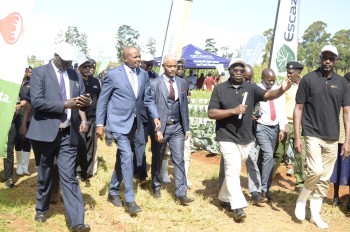 Previous Agribusines