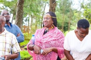 Collaboration betwee