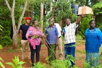 Collaboration betwee