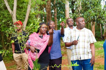 Collaboration betwee