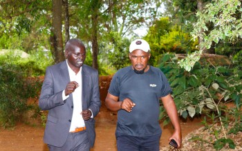 Collaboration betwee