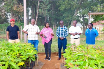 Collaboration betwee