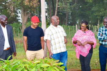 Collaboration betwee