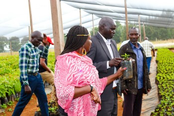 Collaboration betwee