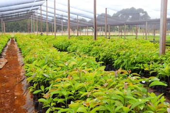 Collaboration betwee