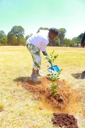 Life University adds