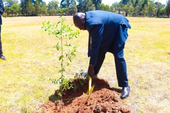 Life University adds