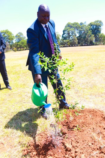 Life University adds