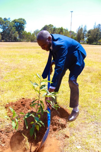 Life University adds