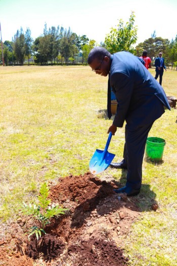 Life University adds