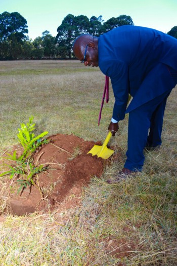 Life University adds