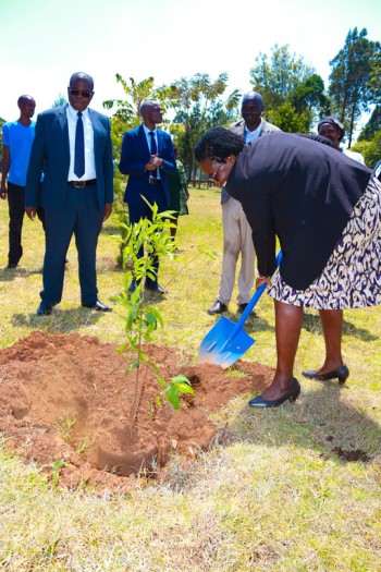 Life University adds