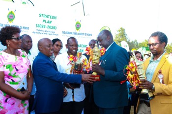 University of Eldore