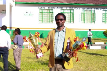 University of Eldore