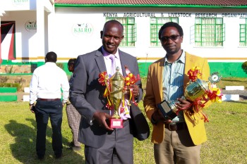 University of Eldore