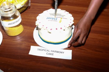 University of Eldore