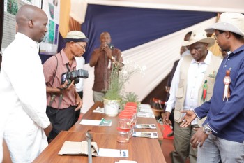 University of Eldore