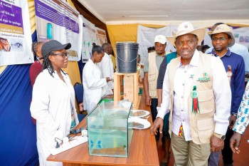 University of Eldore