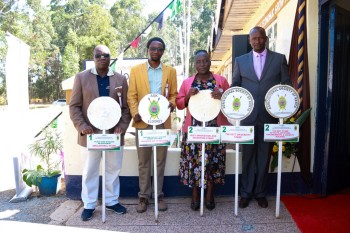 University of Eldore