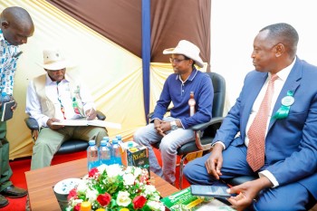 University of Eldore