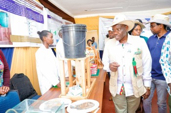 University of Eldore