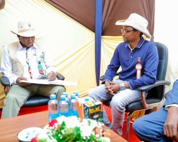 University of Eldore