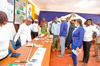 University of Eldore