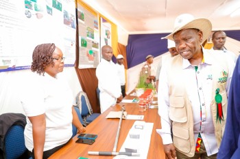 University of Eldore