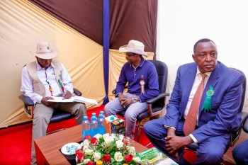 University of Eldore