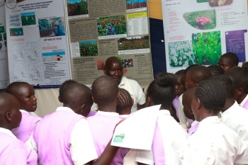 University of Eldore