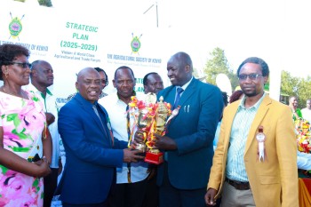 University of Eldore