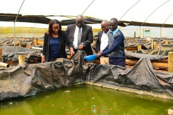 University Council M