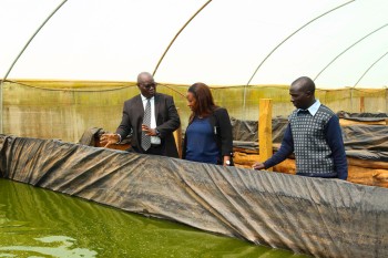 University Council M