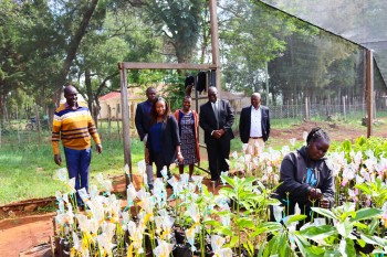 University Council M