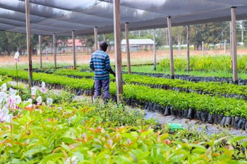 University Council M